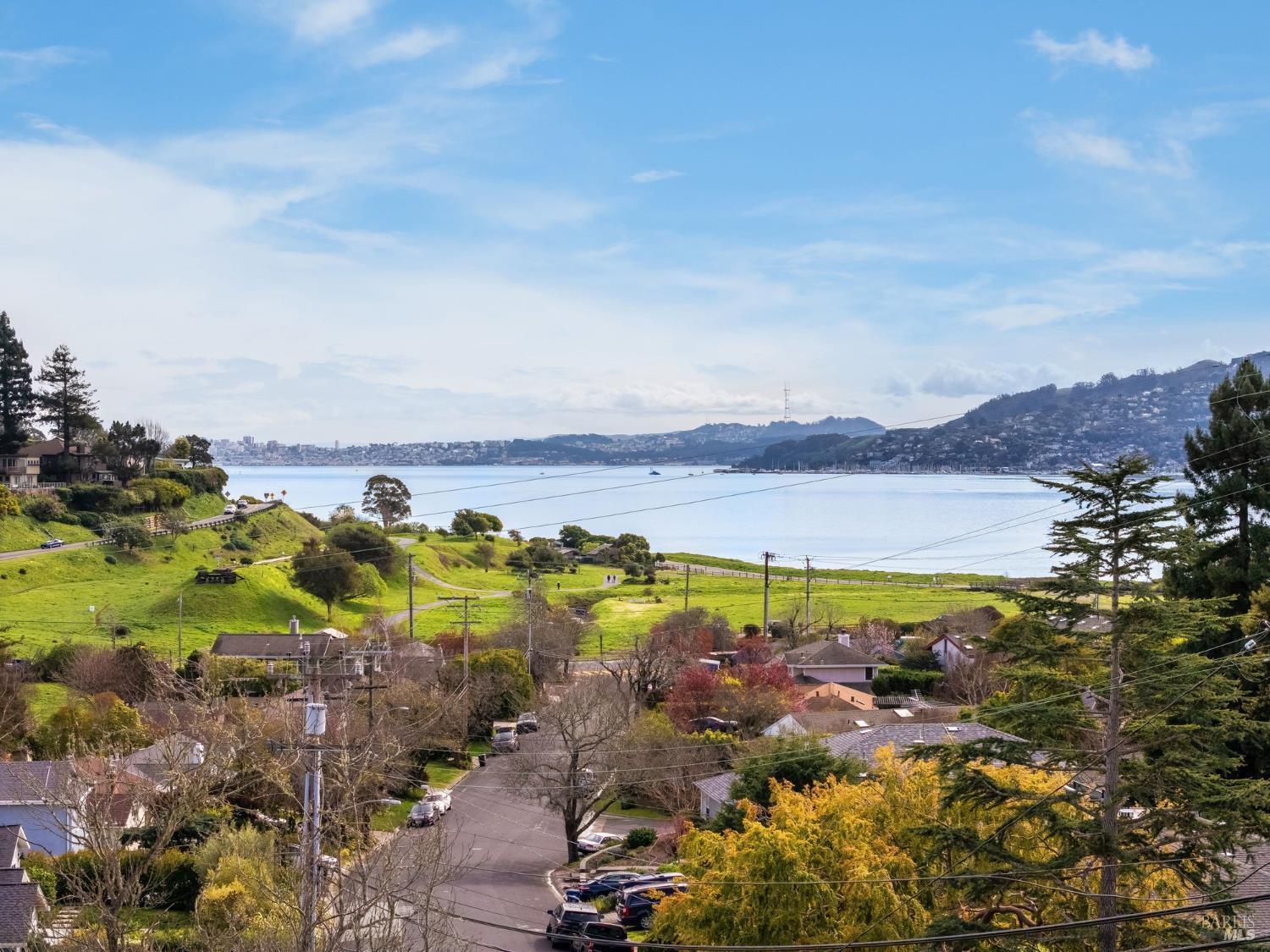 Detail Gallery Image 85 of 92 For 58 Lower North Ter, Tiburon,  CA 94920 - 5 Beds | 3/1 Baths