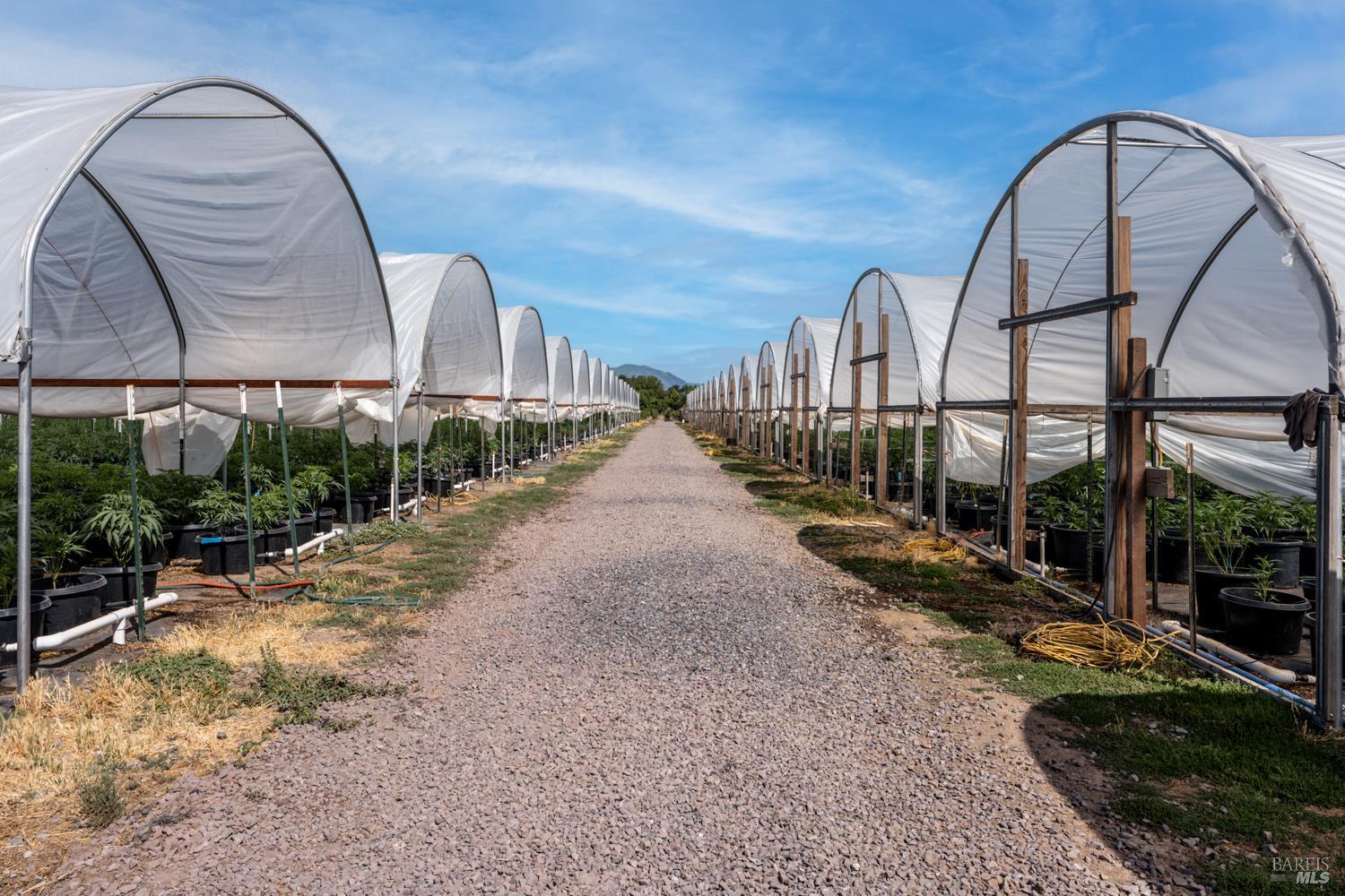 Detail Gallery Image 8 of 27 For 2000 Clover Valley Rd, Upper Lake,  CA 95485 - 2 Beds | 1 Baths