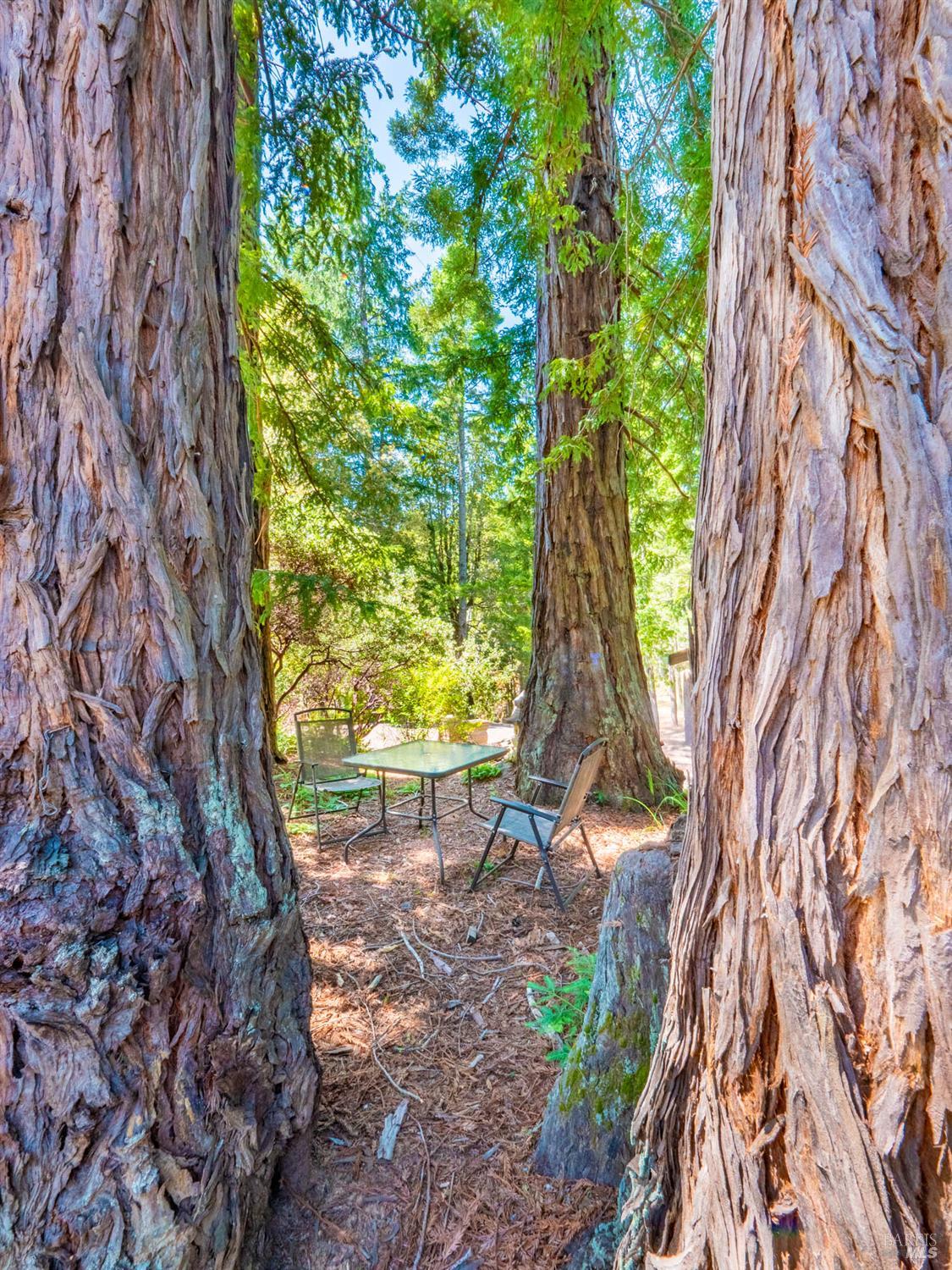 Detail Gallery Image 28 of 32 For 7701 Signal Ridge Rd, Philo,  CA 95466 - 3 Beds | 2/1 Baths