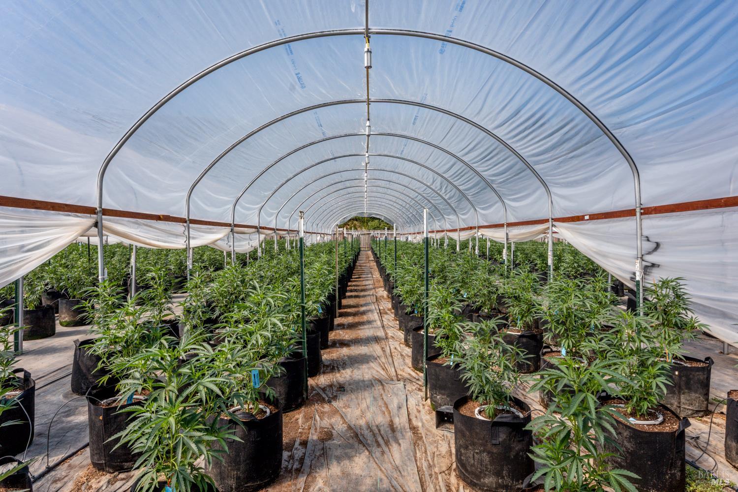 Detail Gallery Image 11 of 27 For 2000 Clover Valley Rd, Upper Lake,  CA 95485 - 2 Beds | 1 Baths