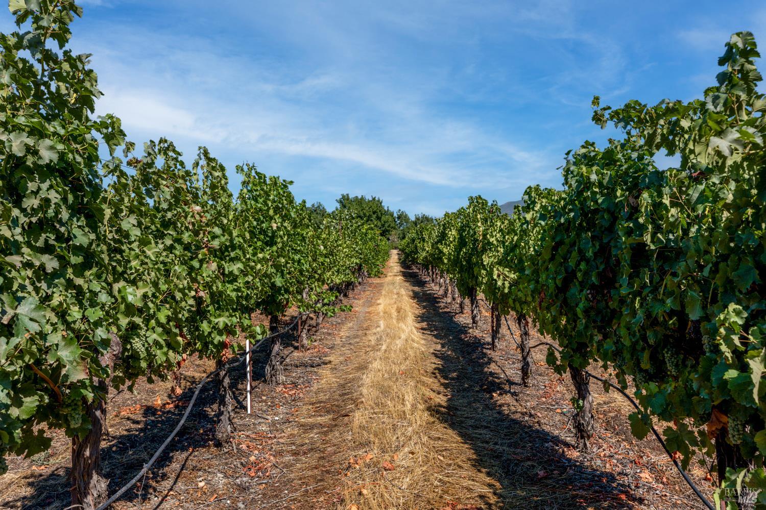 Detail Gallery Image 26 of 27 For 2000 Clover Valley Rd, Upper Lake,  CA 95485 - 2 Beds | 1 Baths