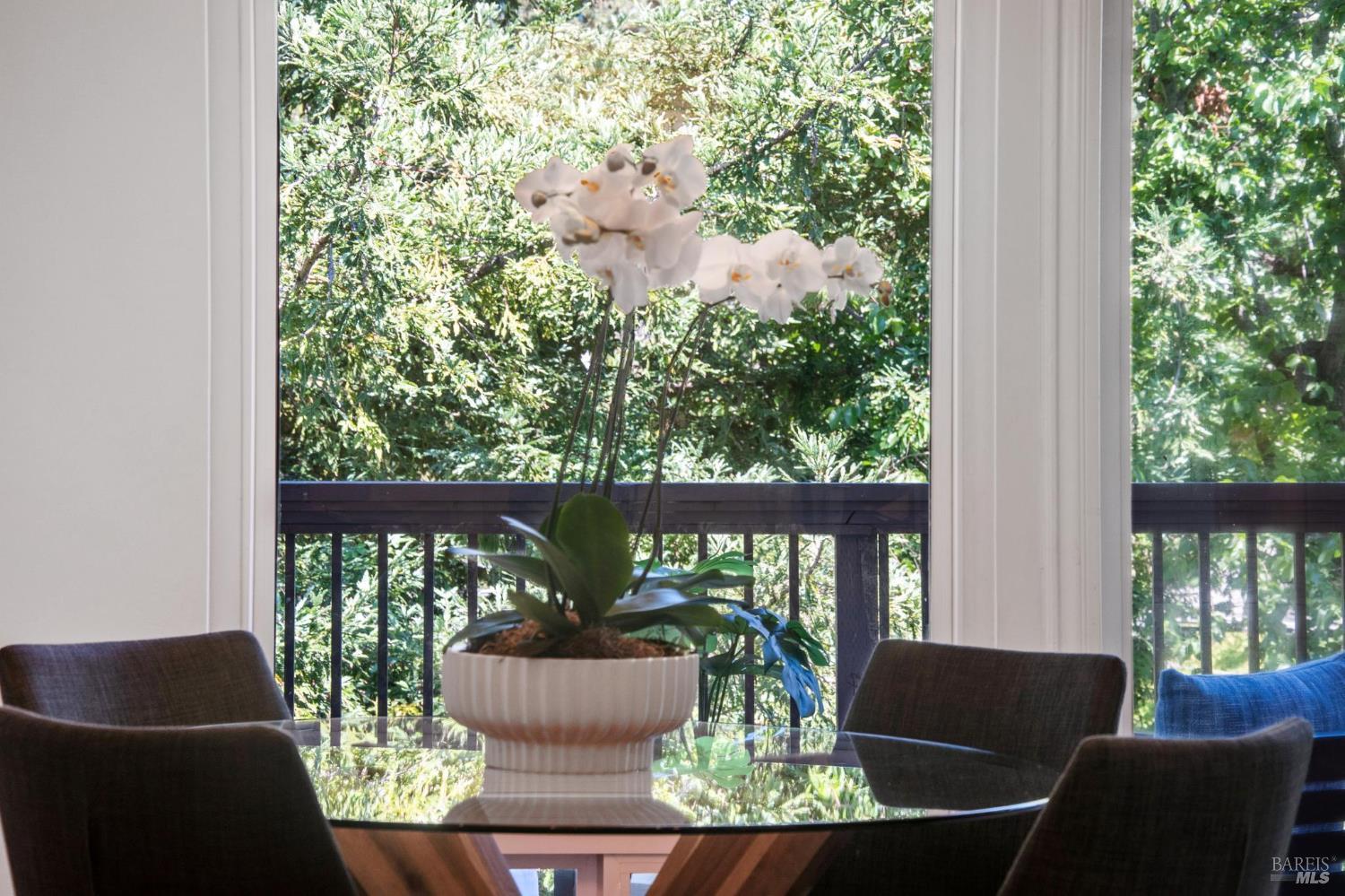 Detail Gallery Image 9 of 19 For 1219 Grand Ave #5,  San Rafael,  CA 94901 - 2 Beds | 1 Baths