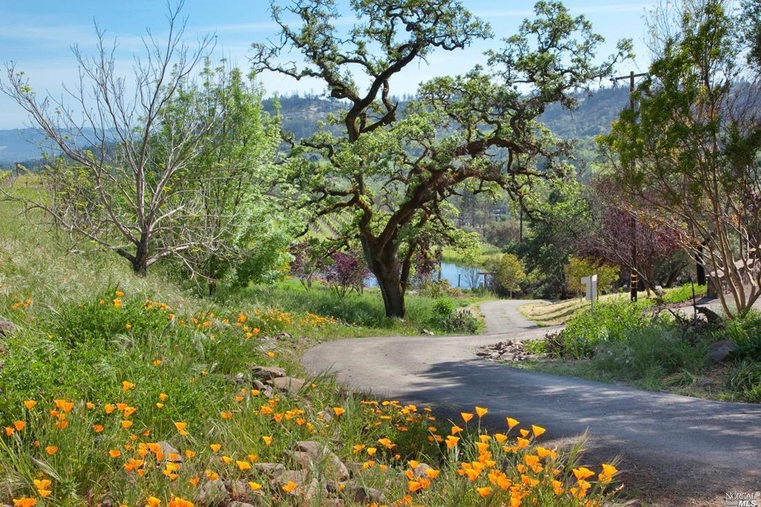 Detail Gallery Image 6 of 30 For 4500 Wallace Rd, Santa Rosa,  CA 95404 - – Beds | – Baths