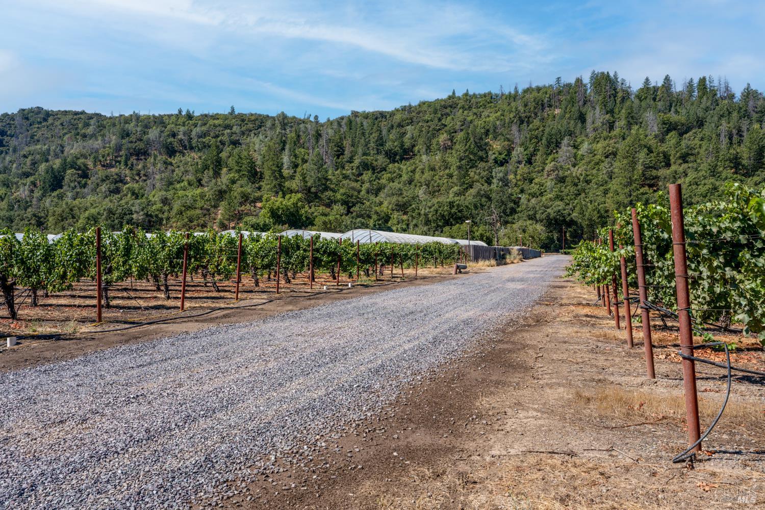 Detail Gallery Image 5 of 27 For 2000 Clover Valley Rd, Upper Lake,  CA 95485 - 2 Beds | 1 Baths