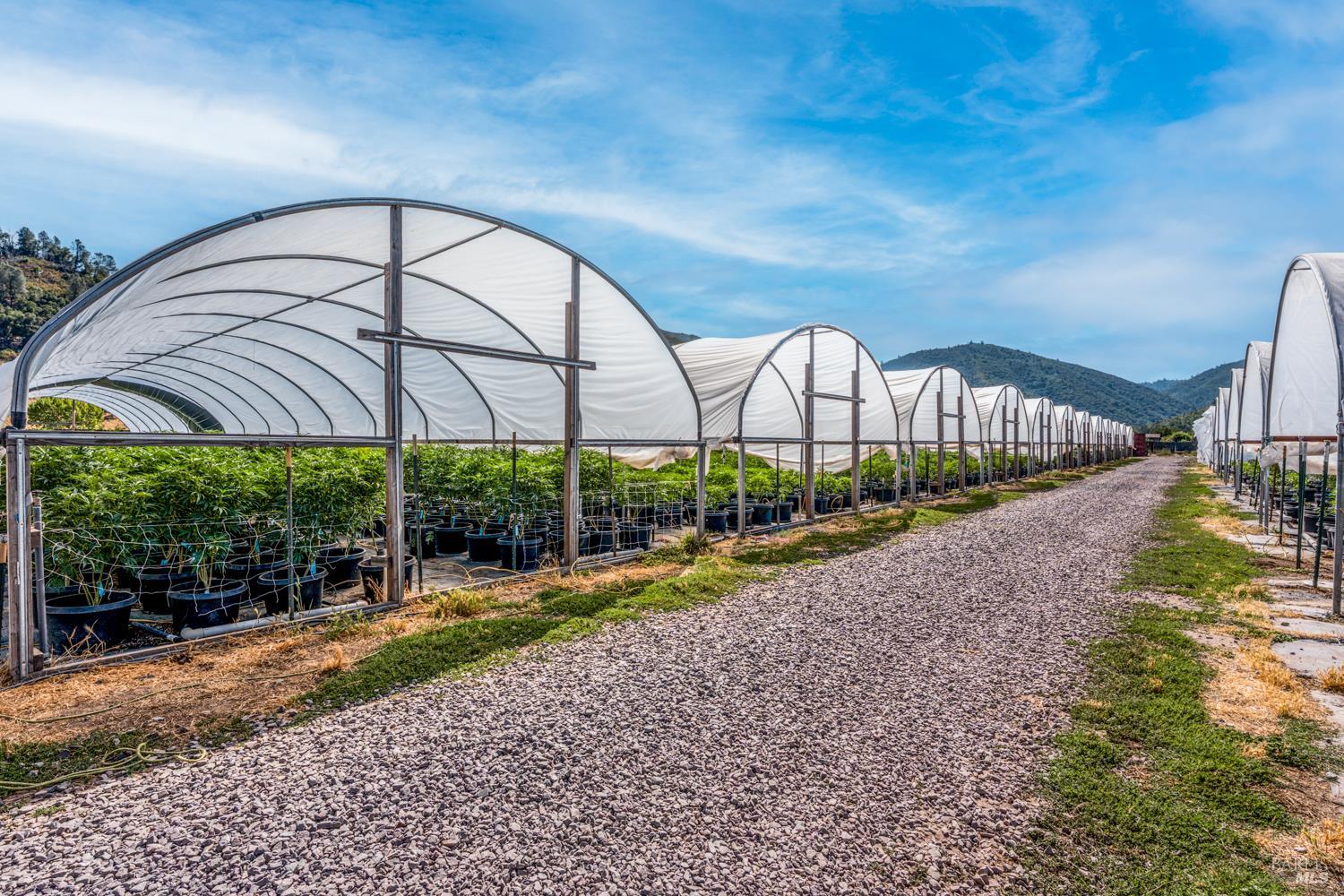 Detail Gallery Image 12 of 27 For 2000 Clover Valley Rd, Upper Lake,  CA 95485 - 2 Beds | 1 Baths