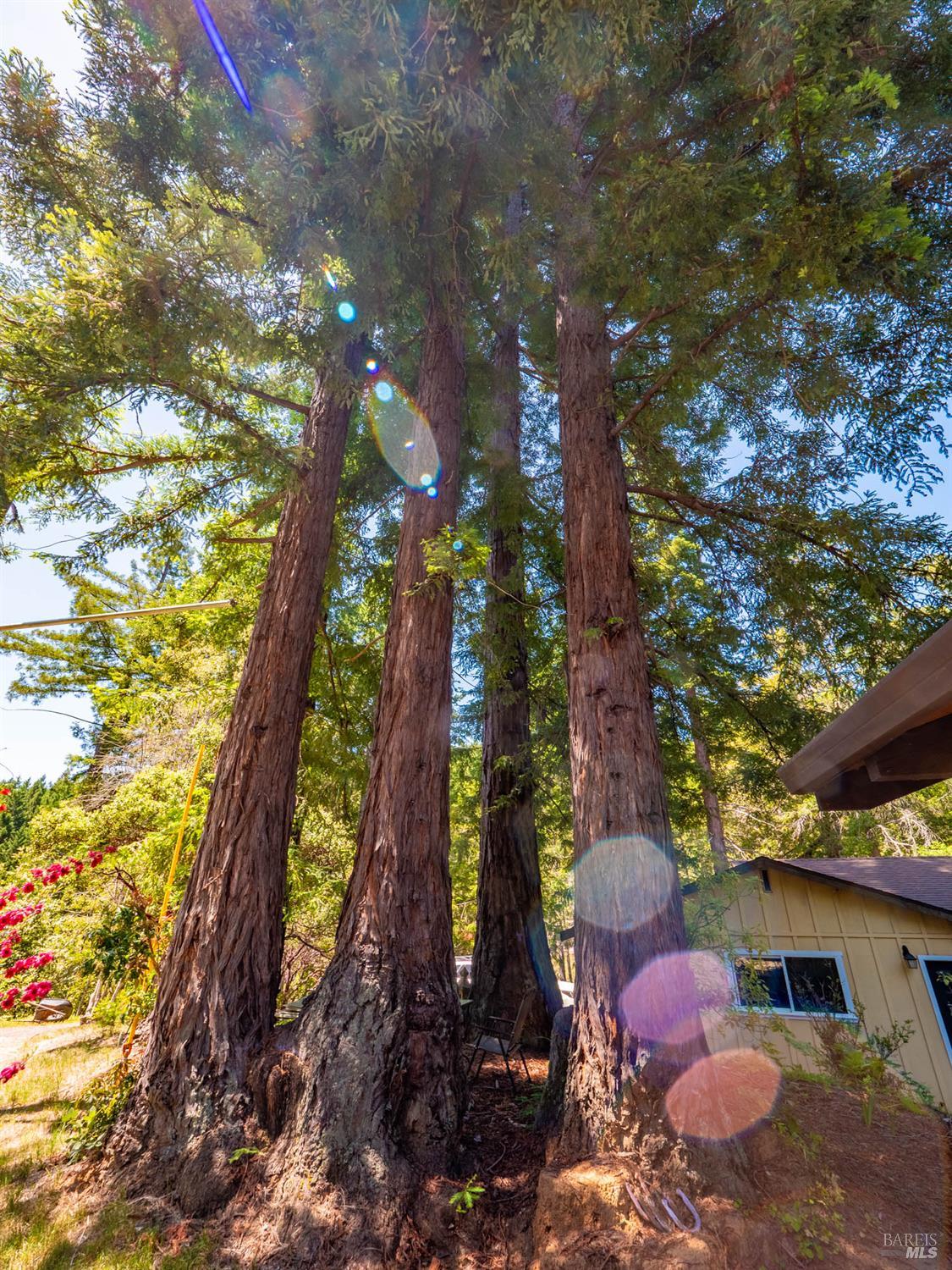 Detail Gallery Image 29 of 32 For 7701 Signal Ridge Rd, Philo,  CA 95466 - 3 Beds | 2/1 Baths