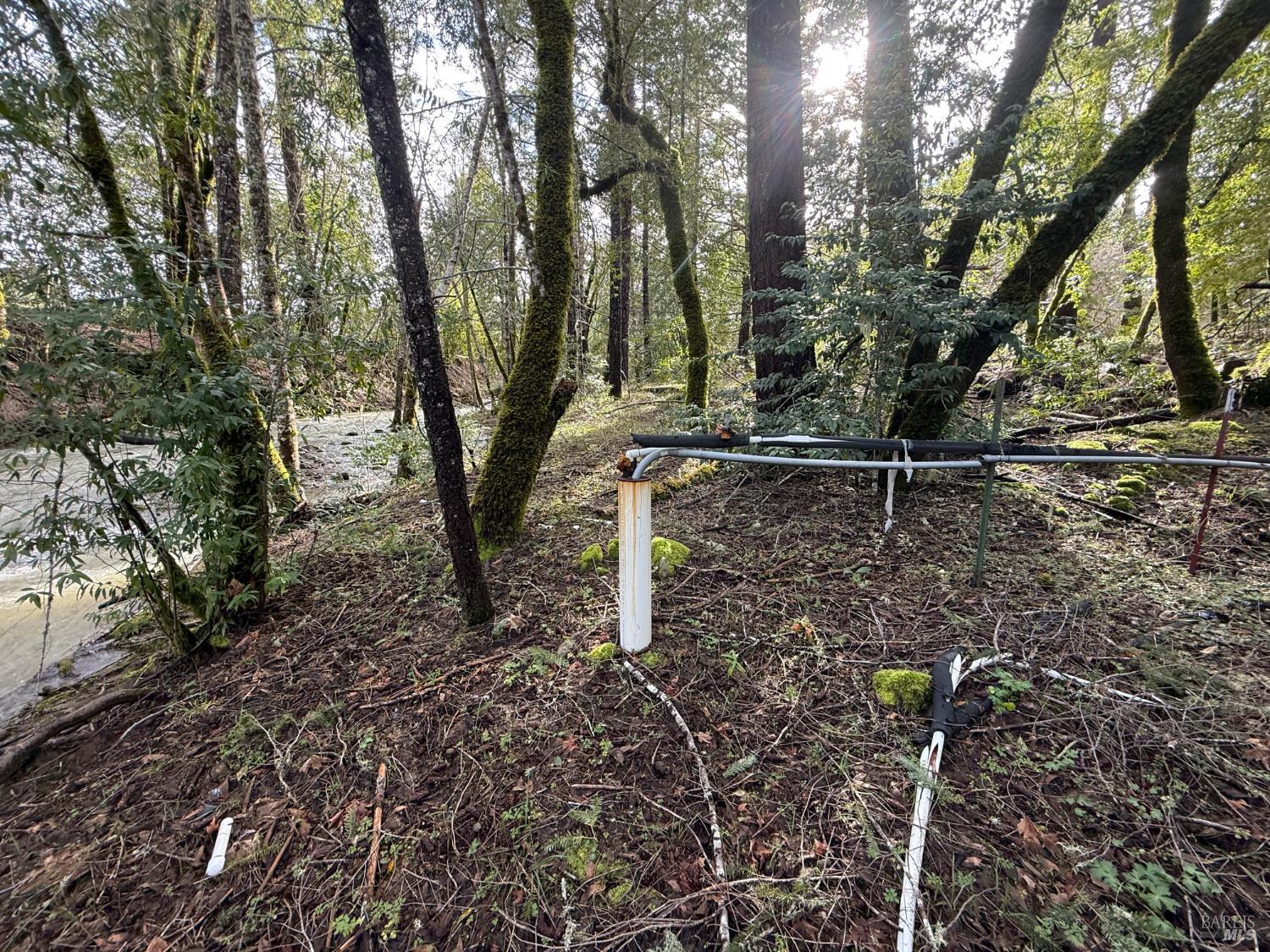 Detail Gallery Image 33 of 34 For 44050 Briggs Ln, Laytonville,  CA 95454 - – Beds | – Baths