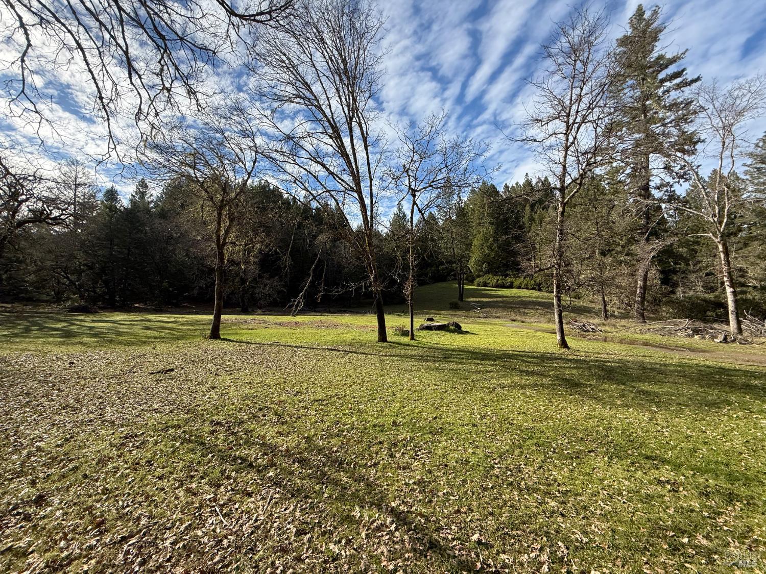 Detail Gallery Image 17 of 34 For 44050 Briggs Ln, Laytonville,  CA 95454 - – Beds | – Baths