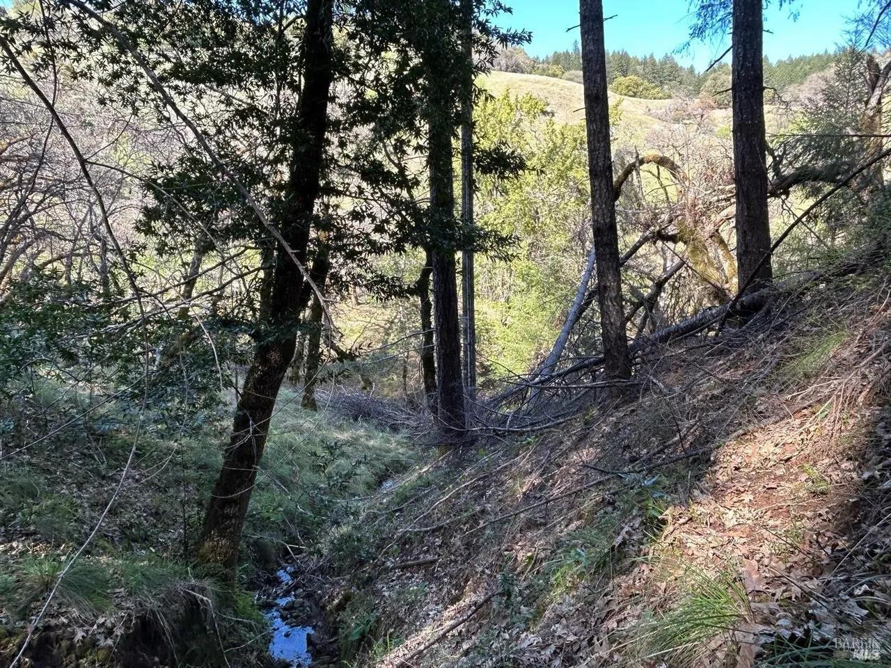 Detail Gallery Image 3 of 14 For 2150 Baywood Way, Willits,  CA 95490 - – Beds | – Baths