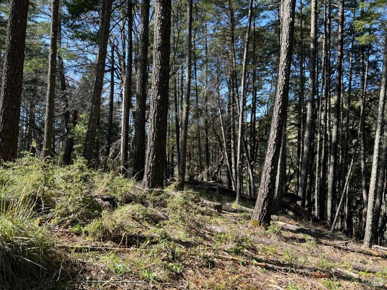 Front Image Thumbnail for BA326014831