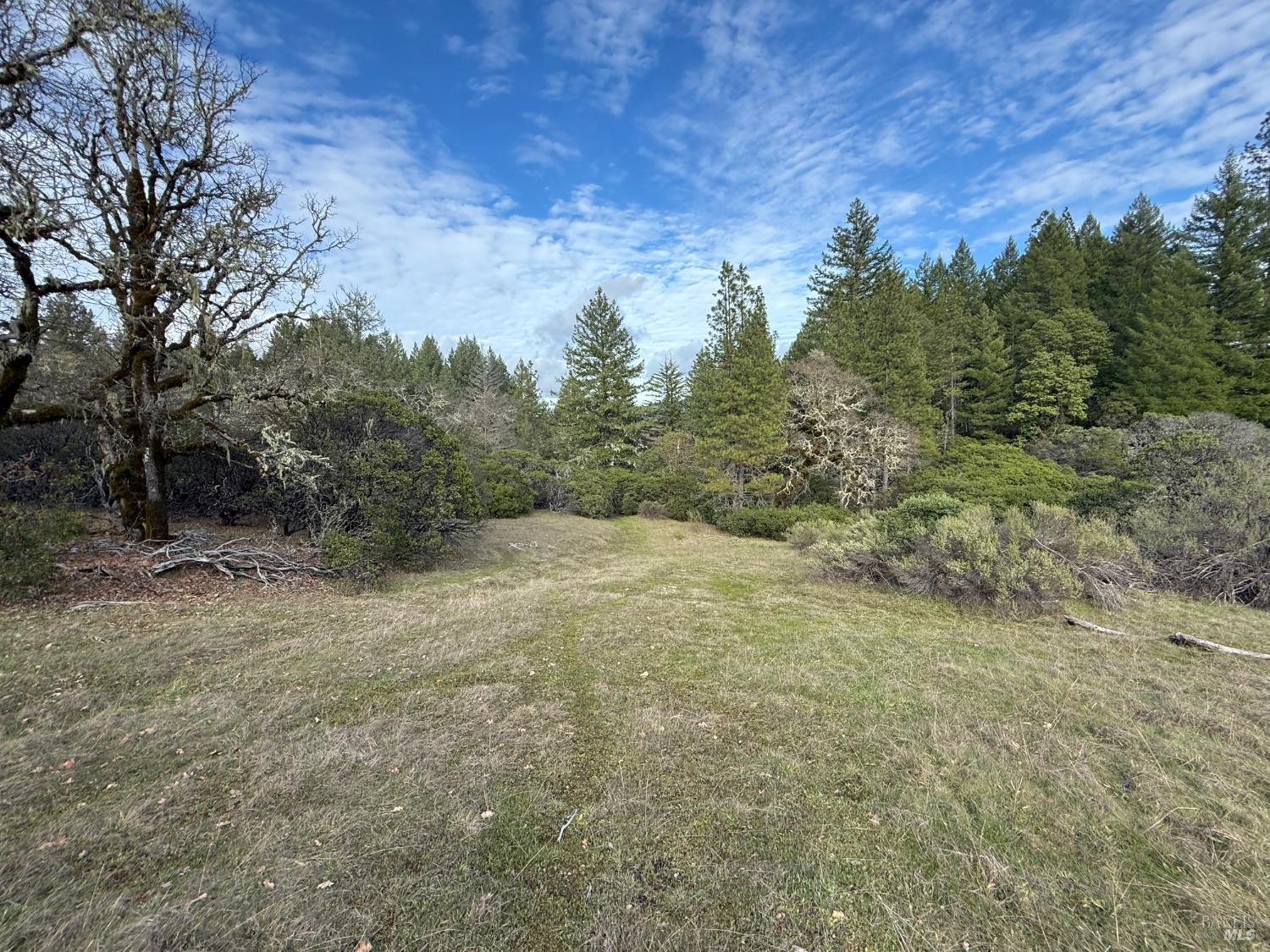 Detail Gallery Image 26 of 34 For 44050 Briggs Ln, Laytonville,  CA 95454 - – Beds | – Baths