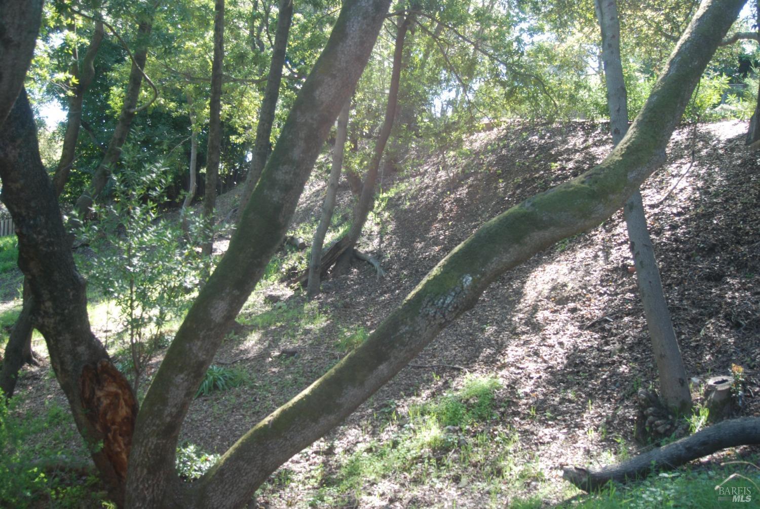 Detail Gallery Image 6 of 11 For 317 Coleman Dr, San Rafael,  CA 94901 - – Beds | – Baths