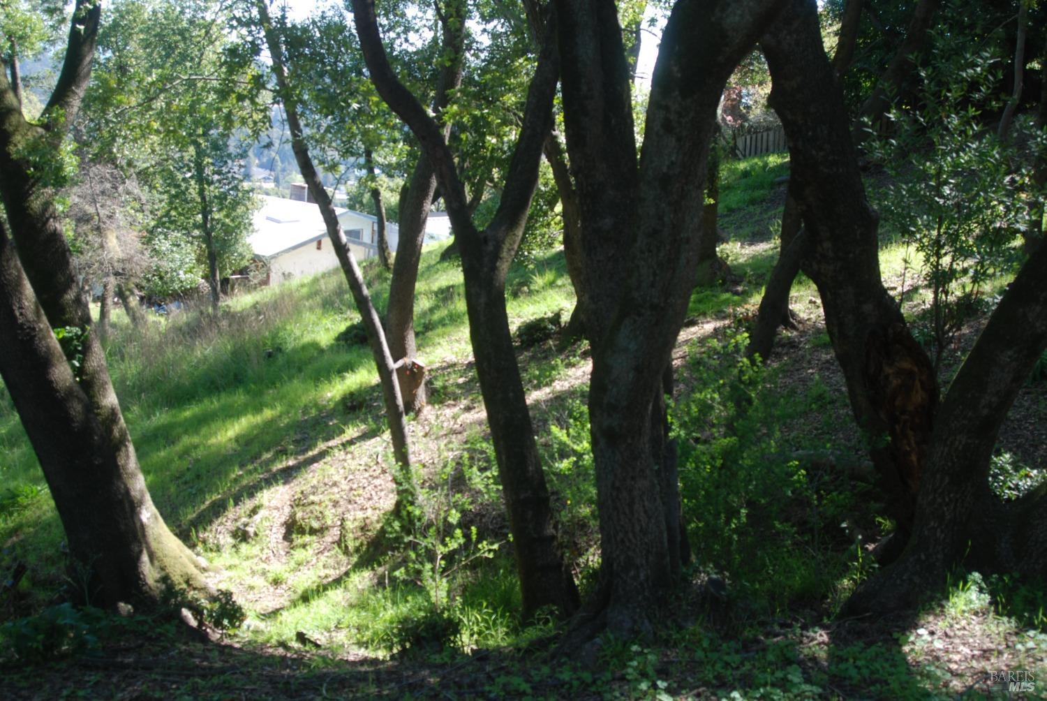 Detail Gallery Image 7 of 11 For 317 Coleman Dr, San Rafael,  CA 94901 - – Beds | – Baths