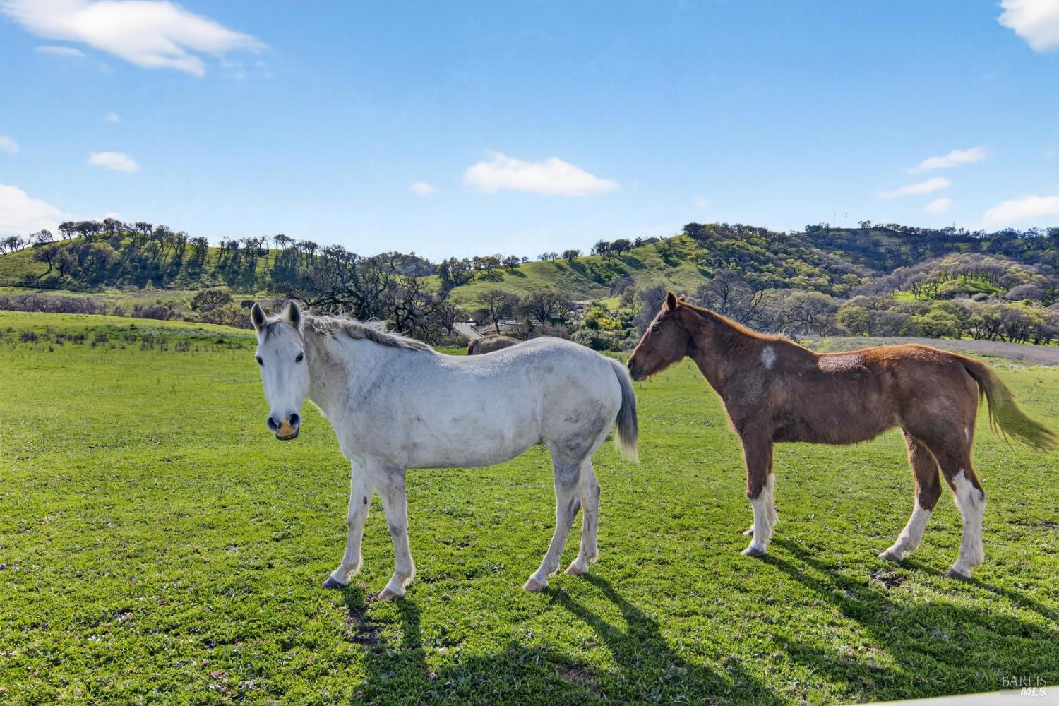 Detail Gallery Image 56 of 68 For 3467 Blue Mountain Dr, Fairfield,  CA 94534 - 2 Beds | 2 Baths