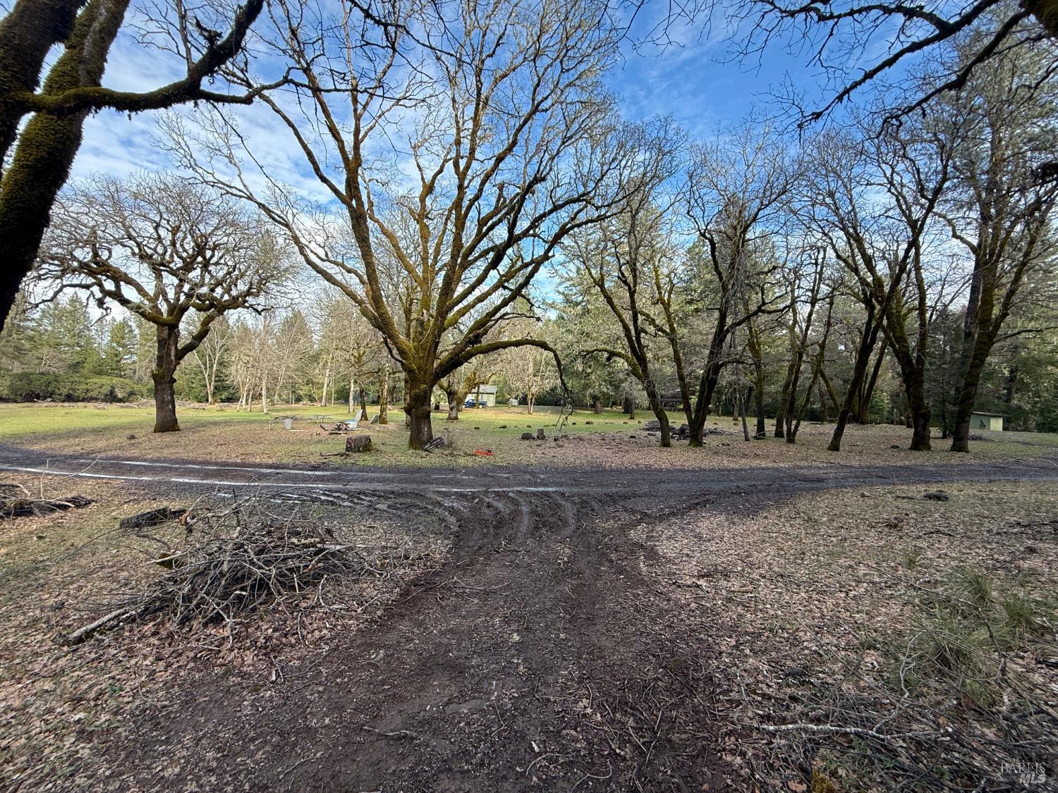 Detail Gallery Image 21 of 34 For 44050 Briggs Ln, Laytonville,  CA 95454 - – Beds | – Baths