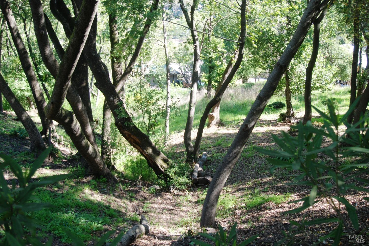 Detail Gallery Image 3 of 11 For 317 Coleman Dr, San Rafael,  CA 94901 - – Beds | – Baths