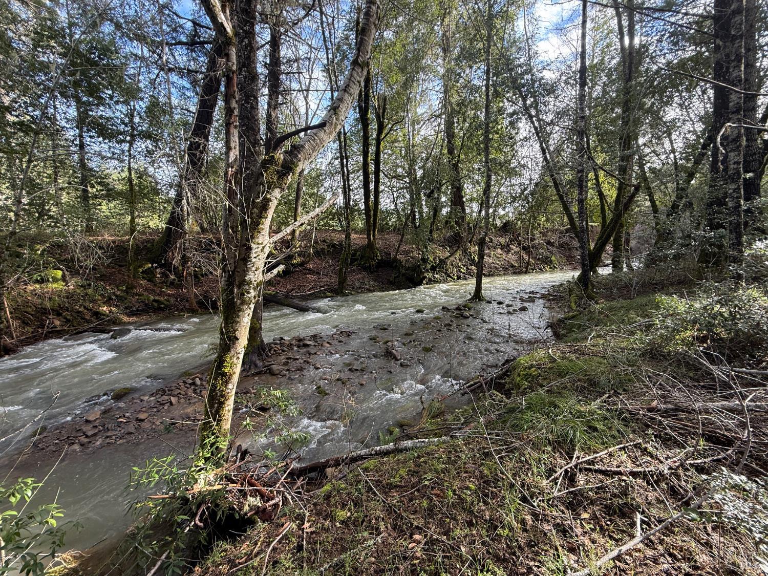 Detail Gallery Image 32 of 34 For 44050 Briggs Ln, Laytonville,  CA 95454 - – Beds | – Baths