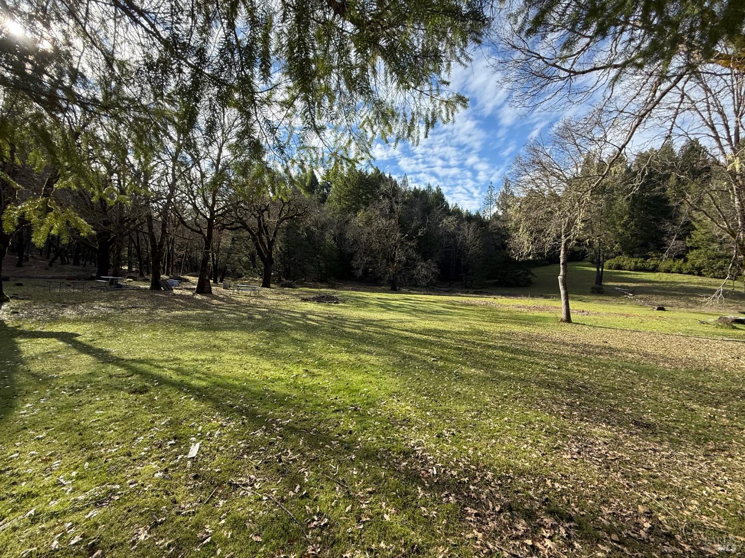 Detail Gallery Image 16 of 34 For 44050 Briggs Ln, Laytonville,  CA 95454 - – Beds | – Baths