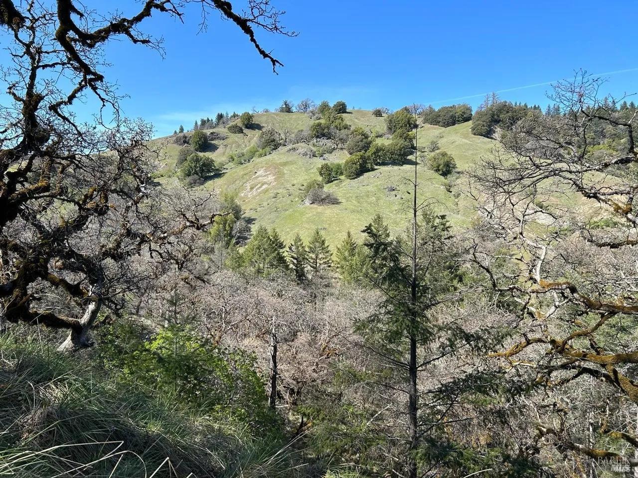 Detail Gallery Image 6 of 14 For 2150 Baywood Way, Willits,  CA 95490 - – Beds | – Baths