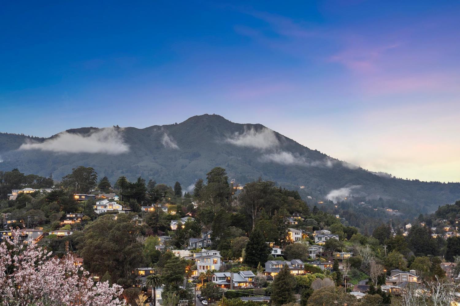 Detail Gallery Image 54 of 58 For 18 Laverne Ave, Mill Valley,  CA 94941 - 4 Beds | 3 Baths