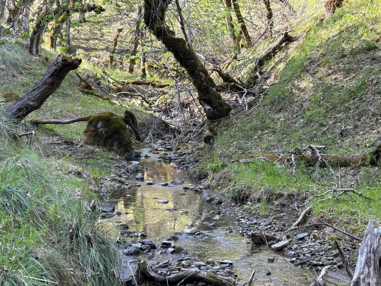 Detail Gallery Image 8 of 14 For 2150 Baywood Way, Willits,  CA 95490 - – Beds | – Baths