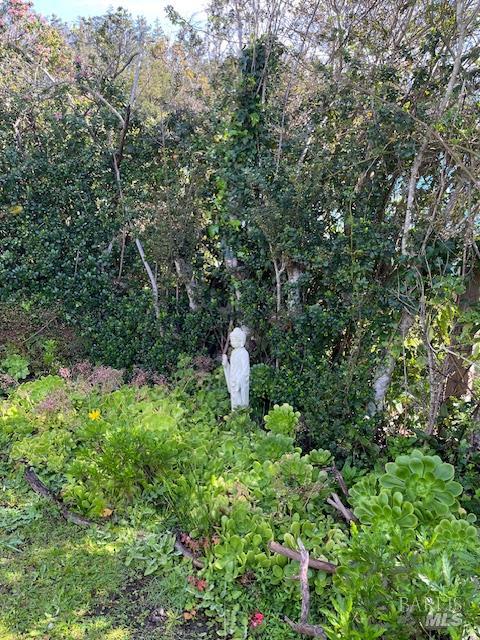 Detail Gallery Image 4 of 8 For 38851 S Highway 1 Hwy 39, Gualala,  CA 95445 - 2 Beds | 2 Baths