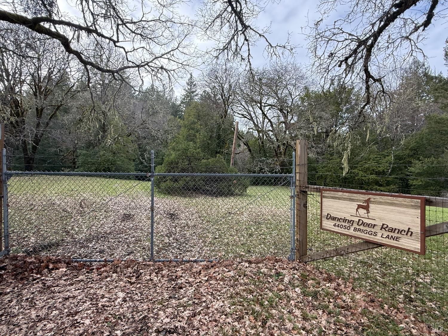 Detail Gallery Image 2 of 34 For 44050 Briggs Ln, Laytonville,  CA 95454 - – Beds | – Baths