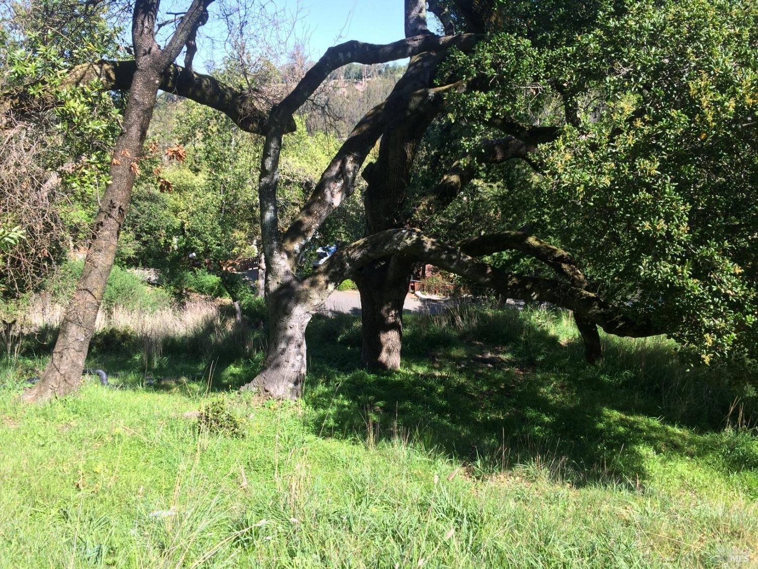 Detail Gallery Image 10 of 11 For 317 Coleman Dr, San Rafael,  CA 94901 - – Beds | – Baths