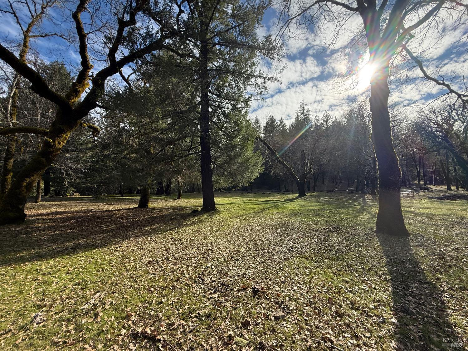 Detail Gallery Image 14 of 34 For 44050 Briggs Ln, Laytonville,  CA 95454 - – Beds | – Baths