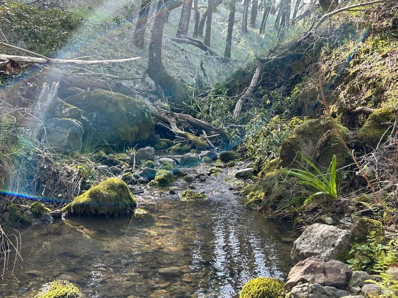 Detail Gallery Image 7 of 14 For 2150 Baywood Way, Willits,  CA 95490 - – Beds | – Baths