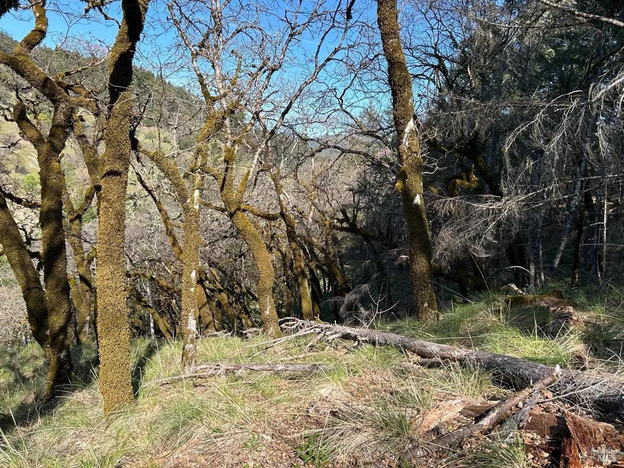 Detail Gallery Image 2 of 14 For 2150 Baywood Way, Willits,  CA 95490 - – Beds | – Baths