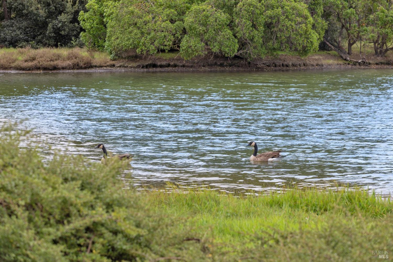 Detail Gallery Image 35 of 36 For 111 Nantucket Cv, San Rafael,  CA 94901 - 2 Beds | 2/1 Baths