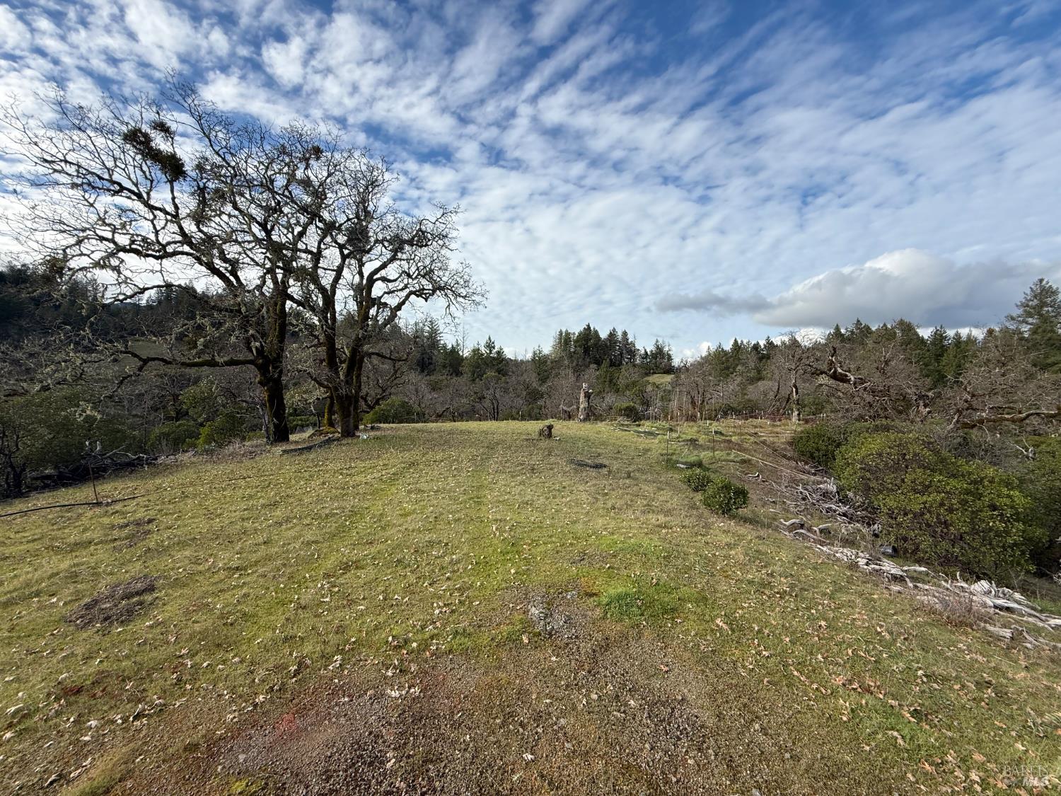 Detail Gallery Image 24 of 34 For 44050 Briggs Ln, Laytonville,  CA 95454 - – Beds | – Baths