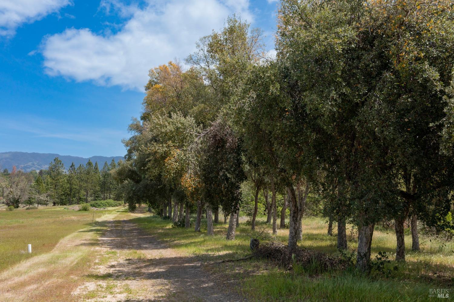 Detail Gallery Image 74 of 75 For 1106 Bel Arbres Dr, Redwood Valley,  CA 95470 - 4 Beds | 4/1 Baths