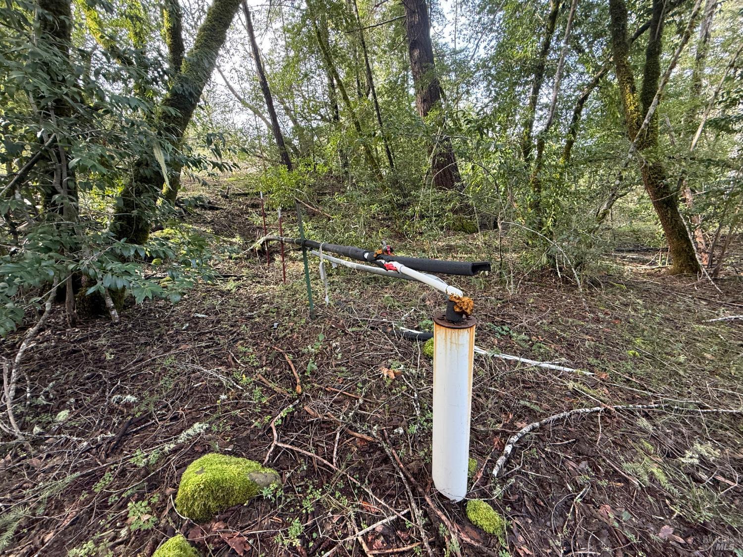 Detail Gallery Image 34 of 34 For 44050 Briggs Ln, Laytonville,  CA 95454 - – Beds | – Baths