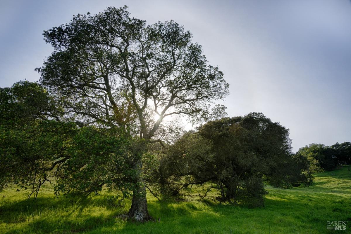 Detail Gallery Image 27 of 27 For 202 Mariner Way, Novato,  CA 94945 - 1 Beds | 1 Baths