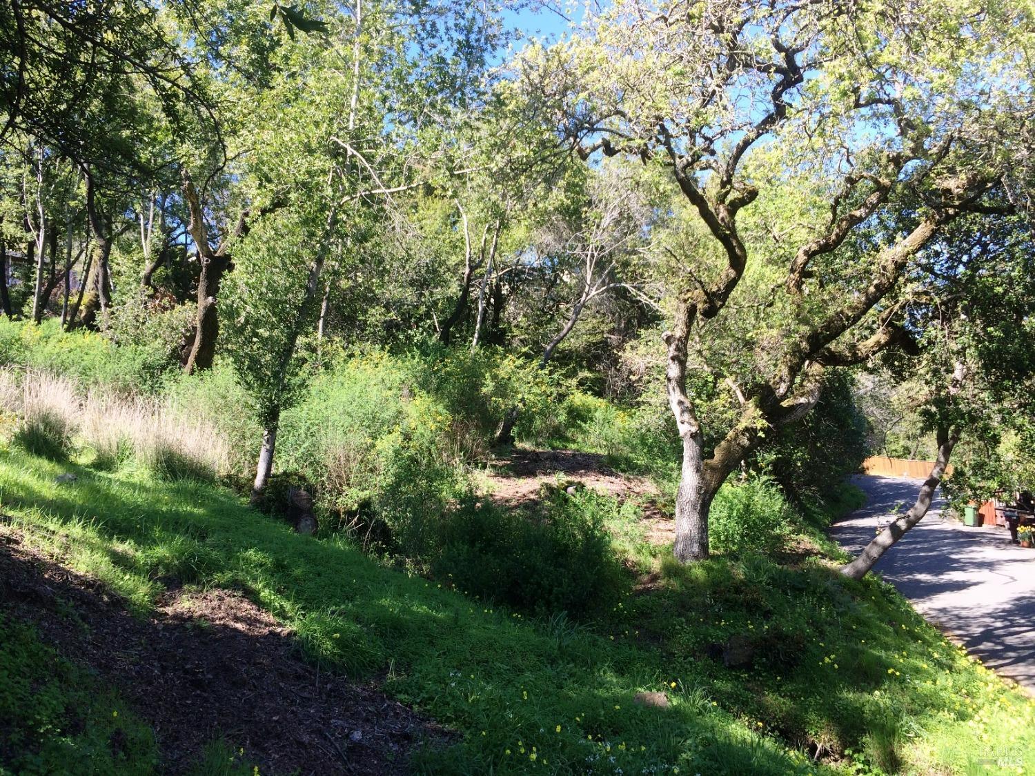 Detail Gallery Image 11 of 11 For 317 Coleman Dr, San Rafael,  CA 94901 - – Beds | – Baths