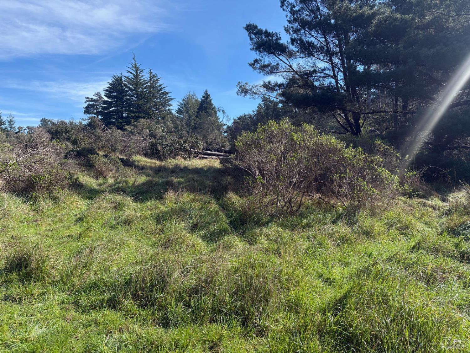 Detail Gallery Image 5 of 22 For 35411 Fly Cloud Rd, The Sea Ranch,  CA 95497 - – Beds | – Baths