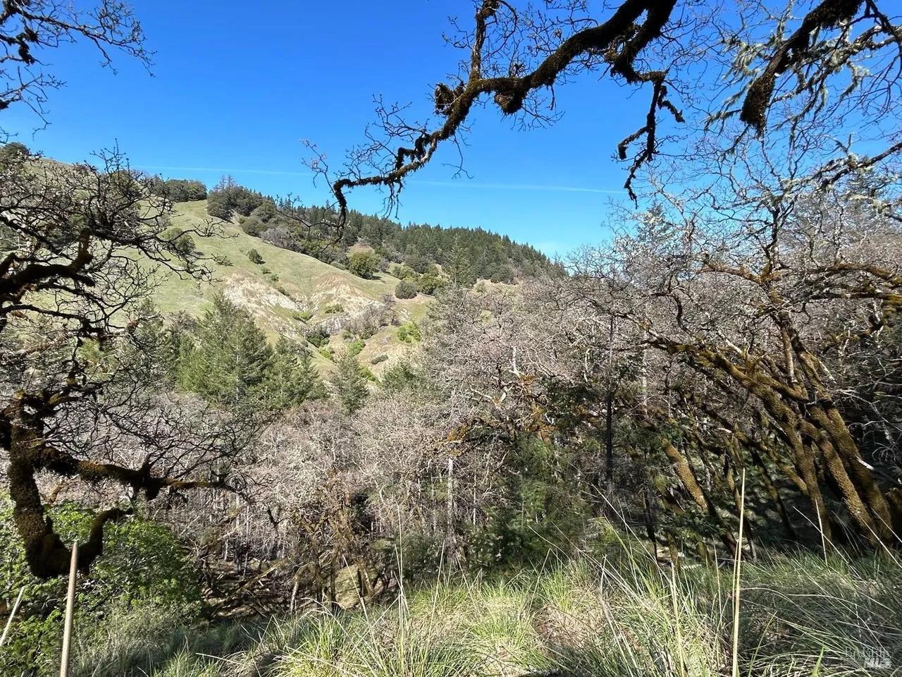 Detail Gallery Image 5 of 14 For 2150 Baywood Way, Willits,  CA 95490 - – Beds | – Baths