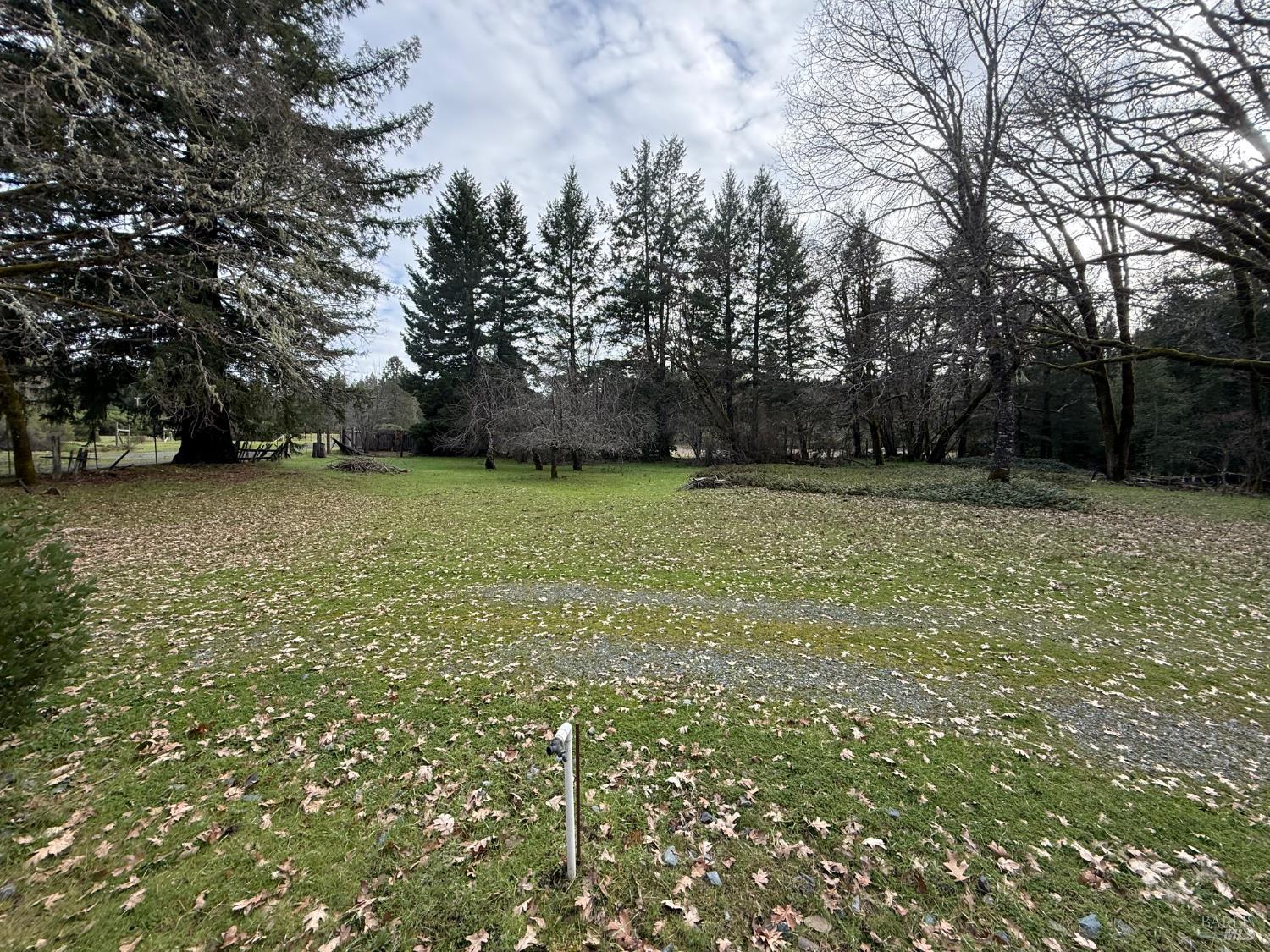 Detail Gallery Image 6 of 34 For 44050 Briggs Ln, Laytonville,  CA 95454 - – Beds | – Baths