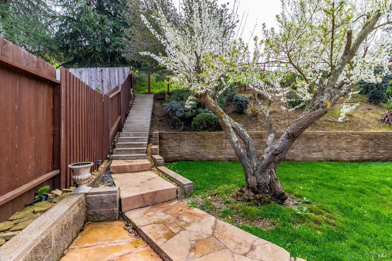 Detail Gallery Image 80 of 99 For 832 Rose Dr, Benicia,  CA 94510 - 4 Beds | 2 Baths