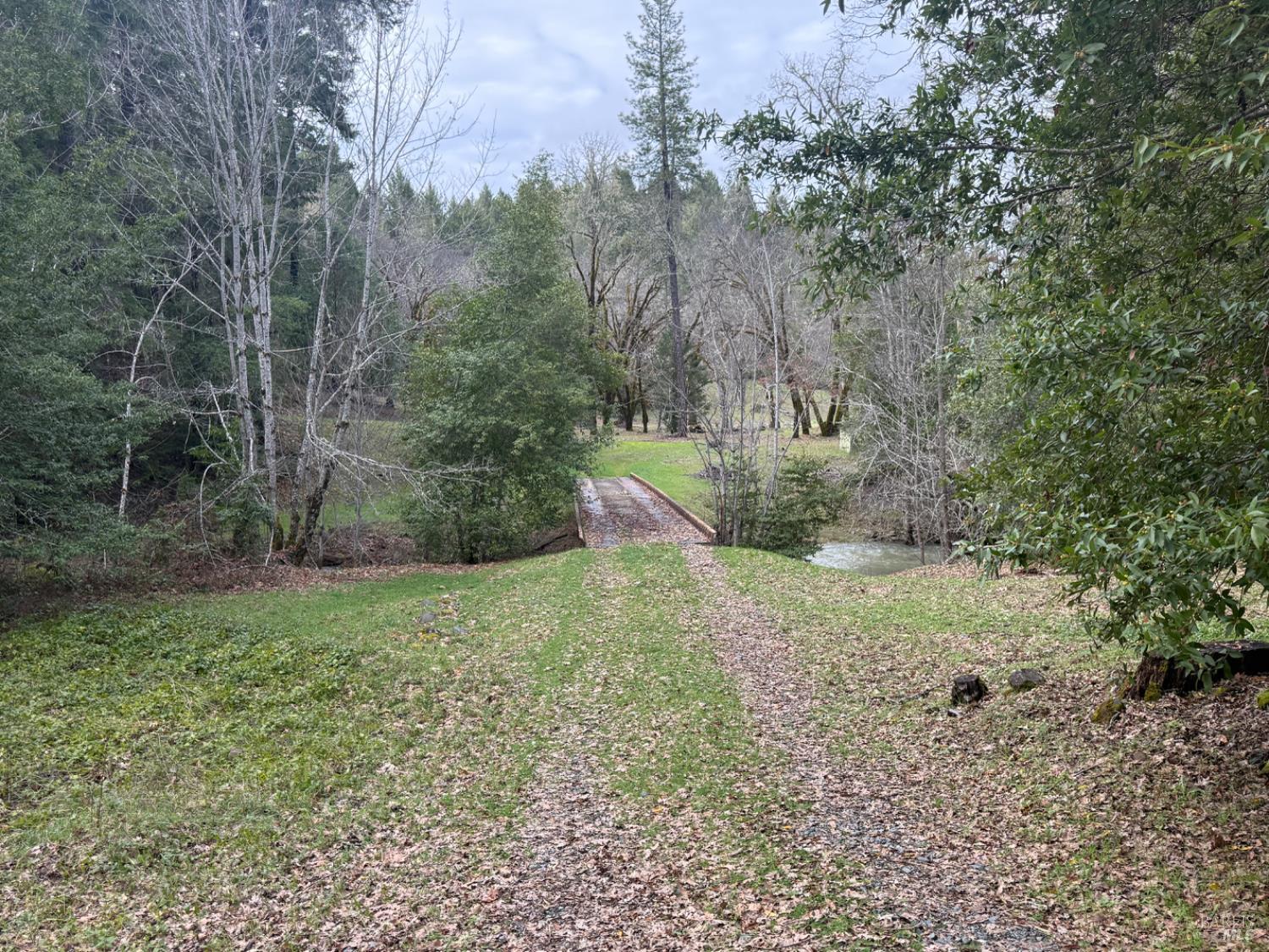 Detail Gallery Image 7 of 34 For 44050 Briggs Ln, Laytonville,  CA 95454 - – Beds | – Baths