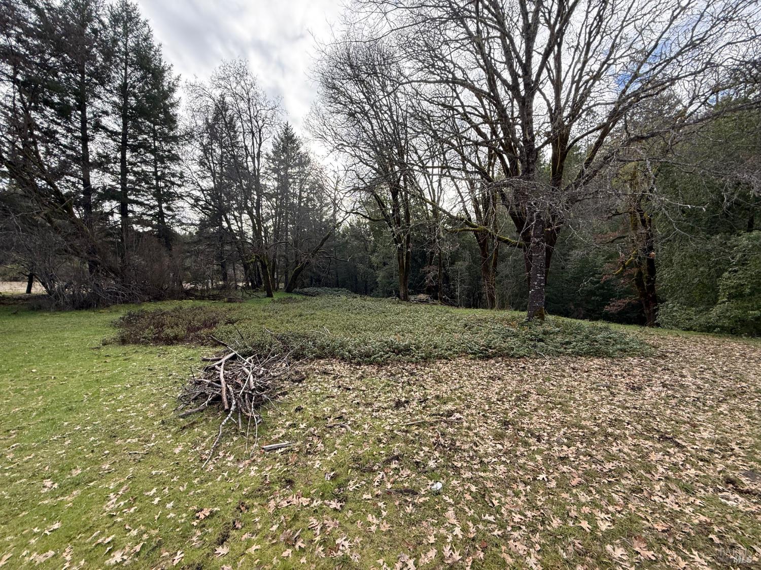 Detail Gallery Image 4 of 34 For 44050 Briggs Ln, Laytonville,  CA 95454 - – Beds | – Baths