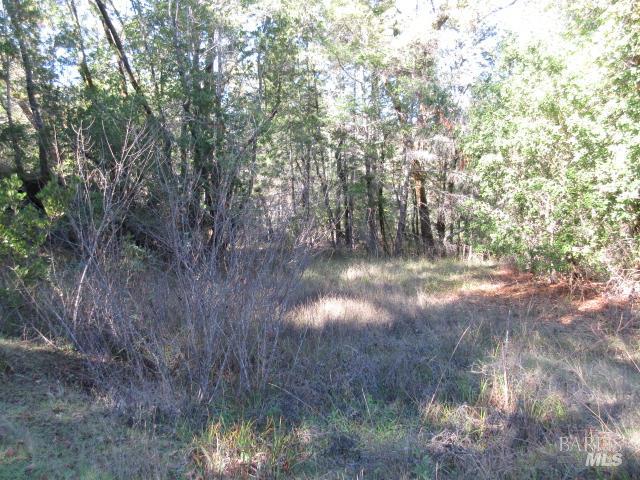 Detail Gallery Image 2 of 17 For 20515 Fort Ross Rd, Cazadero,  CA 95421 - – Beds | – Baths