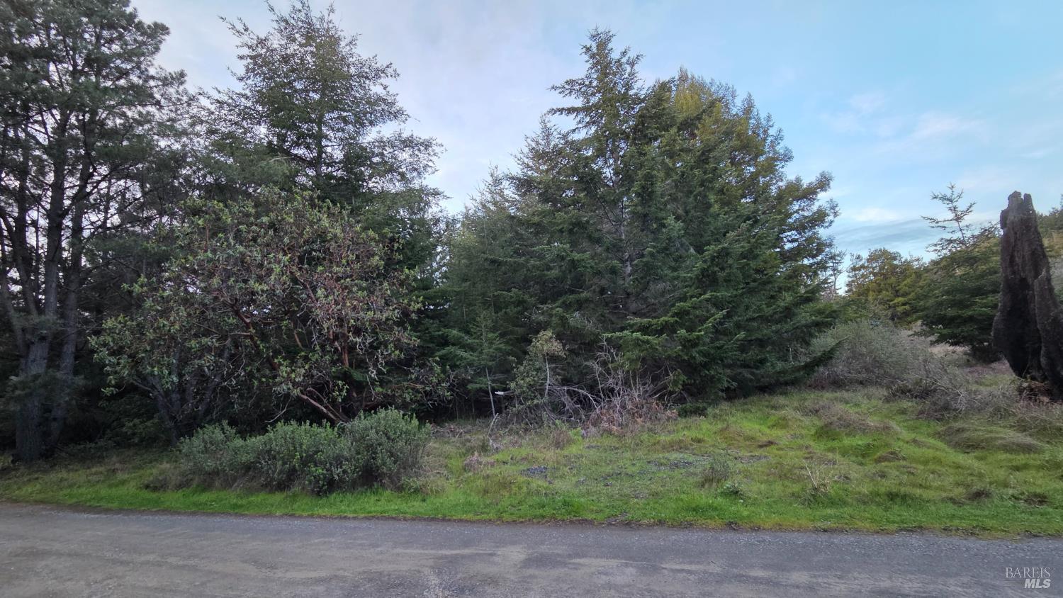 Detail Gallery Image 3 of 11 For 0 Iversen Dr, Gualala,  CA 95445 - – Beds | – Baths