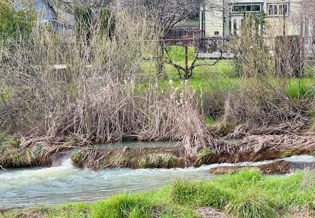 Detail Gallery Image 7 of 9 For 2465 Appolinaris Dr, Ukiah,  CA 95482 - – Beds | – Baths