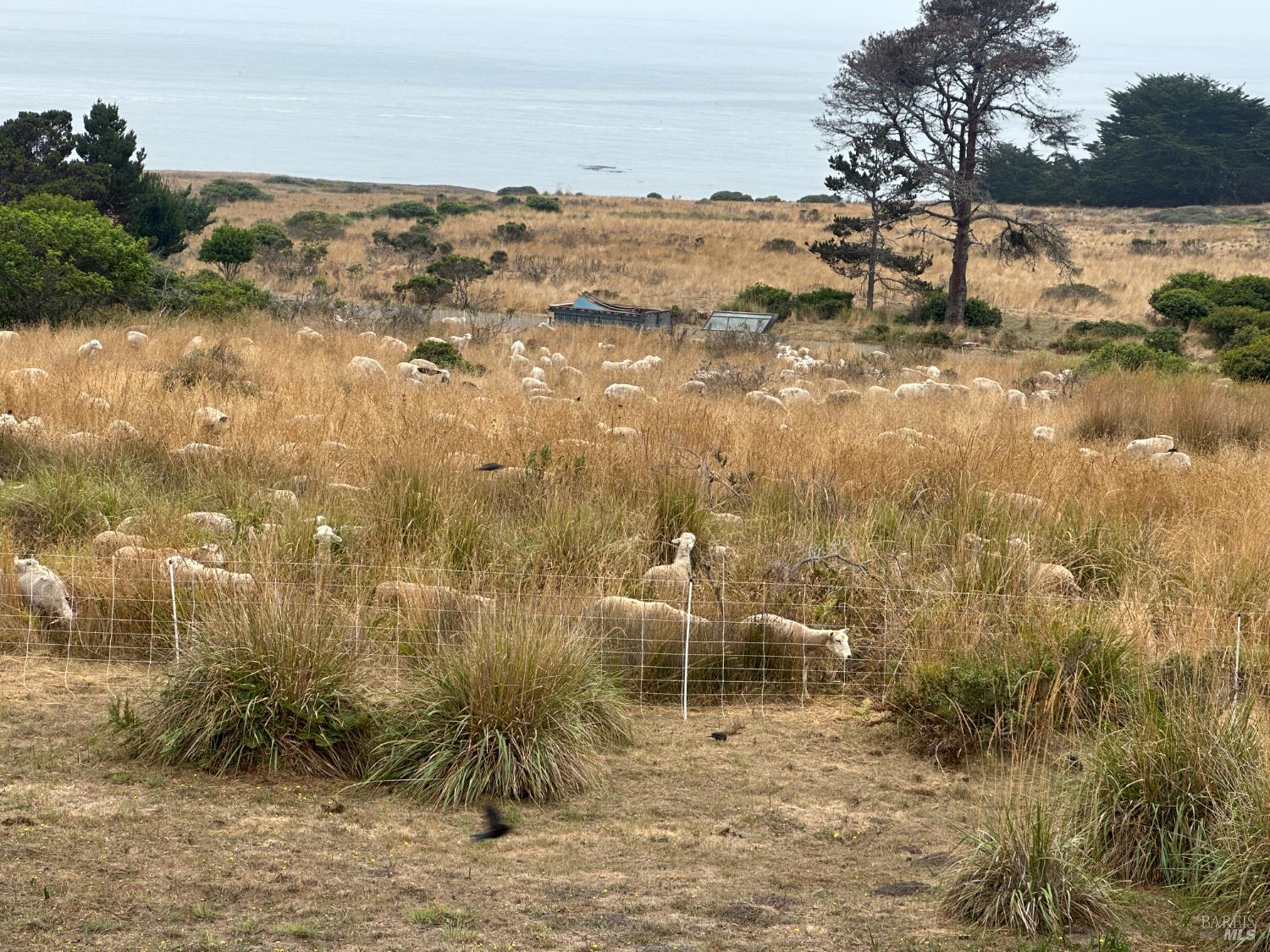 Detail Gallery Image 12 of 22 For 35411 Fly Cloud Rd, The Sea Ranch,  CA 95497 - – Beds | – Baths