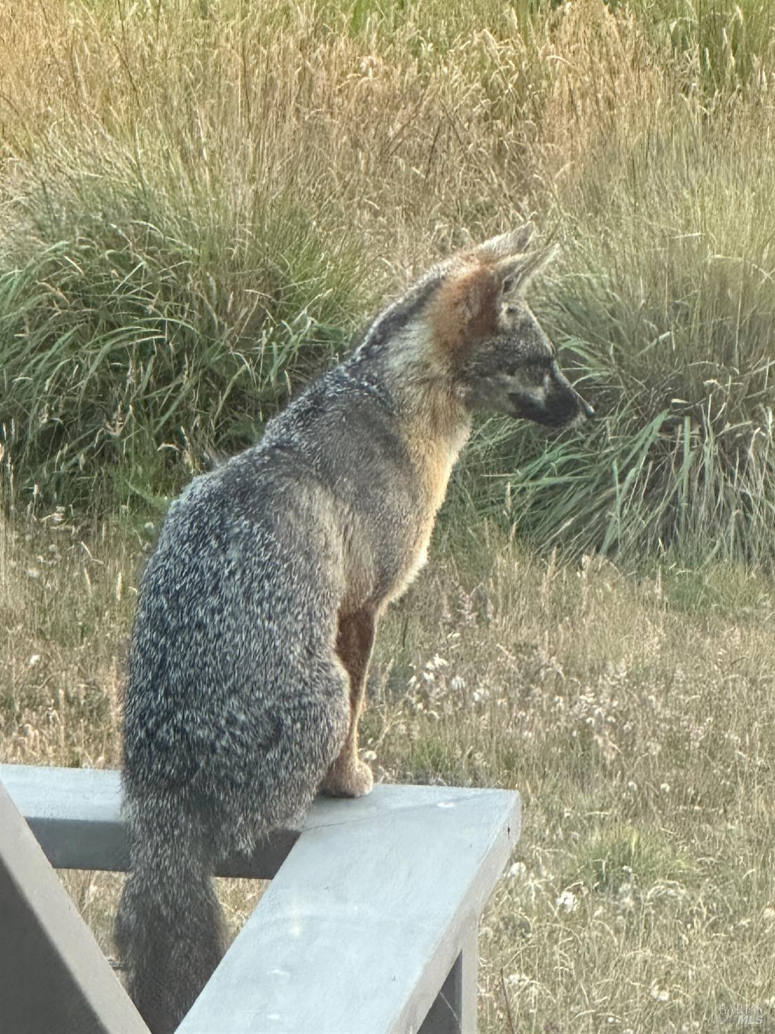 Detail Gallery Image 10 of 22 For 35411 Fly Cloud Rd, The Sea Ranch,  CA 95497 - – Beds | – Baths