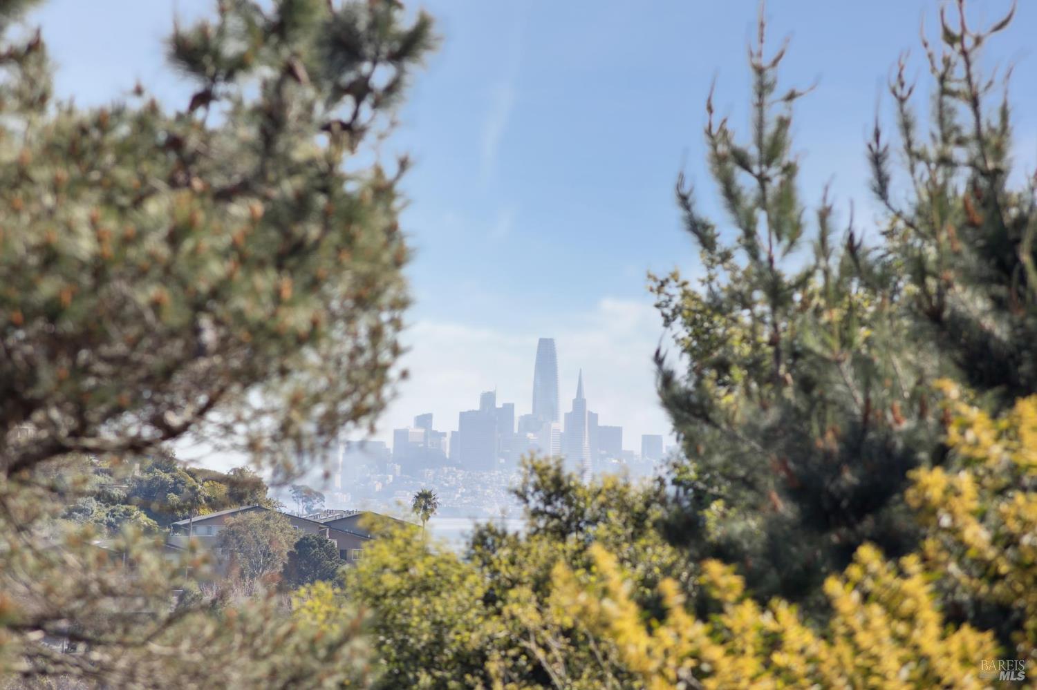 Detail Gallery Image 46 of 52 For 31 via Los Altos Unkn, Tiburon,  CA 94920 - 4 Beds | 3/1 Baths