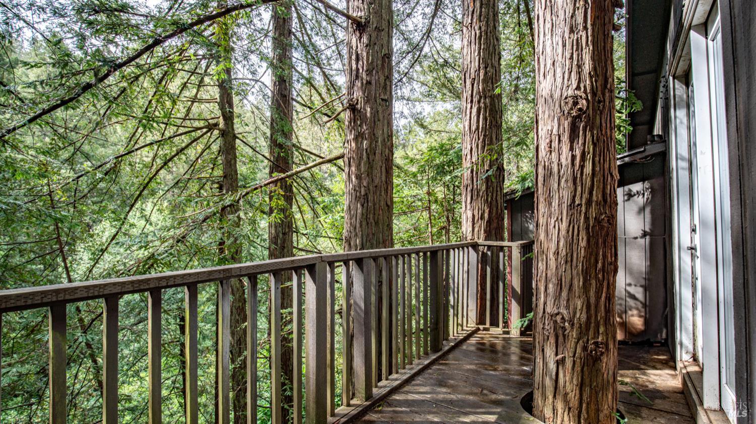 Detail Gallery Image 55 of 90 For 7456 Sir Francis Drake Blvd, Lagunitas,  CA 94938 - 4 Beds | 5 Baths